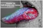 Chapter 10: Cell division and Cancer - Jaguar Biologyjaguarbiology.weebly.com/uploads/5/9/8/6/59865823/...Chapter 10: Cell division and Cancer Author bertolj Created Date 11/18/2016