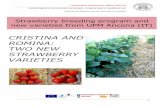 Cristina and Romina two new strawberry varieties · Cristina and Romina two new strawberry varieties 3 neurodegenerative diseases. In the last few decades, single subgroups of fruits