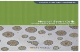 Neural Stem Cells - Stemcell Technologies€¦ · Neural stem cells (NSCs) are deﬁned as cells with the ability to proliferate, ... Supports neural stem and progenitor cells from