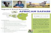 AFRICAN SAFARI - Amazon S3 · This safari is one of the most popular itineraries available. It is deﬁnitely BUCKET LIST material. Our company motto is “Life’s too short… get