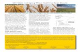 2017 Hard Red Spring Wheat Field Crop Trials Results · (21st Century Genetics) were included in the 2017 trials and their data (multi-year for Lang-MN and ND-VitPro) is presented
