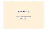 P13 Protozoa 3 Arthropod- borne protozoa 2009-10 · Arthropod borne protozoa 5 Vector-dependent Parasite Distribution • The tseste transmitted trypanosomes are restricted to Africa,