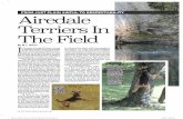 FROM JUST PLAIN AWFUL TO RESPECTABILITY Airedale · PDF file 66 DN DOG NEWS MAGAZINE FROM JUST PLAIN AWFUL TO RESPECTABILITY By M.J. Nelson Airedale Terriers In The Field I n the space