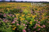 2010–2011 AnnuAl RePoRtair, climate, and communities—depend on those connections. Chicago Wilderness…is providing Chicago Wilderness representatives accept the Partners in Conservation