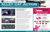 ALLEY CAT ACTION4fi8v2446i0sw2rpq2a3fg51- ... ALLEY CAT ACTION Alley Cat Allies Newsletter • alleycat.org • WINTER 2018 For Alley Cat Allies’ Over 650,000 Supporters and Activists