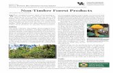 Non-Timber Forest Products - Forestry and Natural Resourcesforestry.ca.uky.edu/sites/forestry.ca.uky.edu/files/... · 2017-10-31 · Non-Timber Forest Products This series serves
