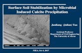 Surface Soil Stabilization by Microbial Induced Calcite ... · • Surface soil stabilization for dust control? • Soil stabilization for underground habitat? • 3D printing? Soil
