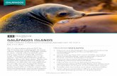 GALÁPAGOS ISLANDS · GALÁPAGOS ISLANDS LORD FAIRFAX COMMUNITY COLLEGE ABOARD M/Y TIP TOP II July 5-15, 2017 t Discover and photograph the magical biodiversity and biogeography of
