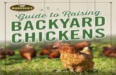 TABLE OF CONTENTS - Amazon S3...• Brooding period: This is the period of time from hatch to adulthood in chicks. ... The Cornish Rock Broiler, Cornish Roaster, Turken, Wyandotte,