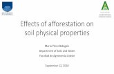 Effects of afforestation on soil physical propertiescaets2018.aniu.org.uy/wp-content/uploads/2018/09/5... · Effects of afforestation on soil physical properties Mario Pérez Bidegain