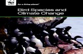 Bird Species and Climate Changeawsassets.panda.org/downloads/wwfsummaryfinal.pdf1 Why does climate change affect birds? “Climate change affects ecosystems, habitats and species with