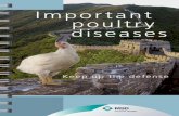 Important poultry diseases · 2019-04-08 · 10 11 Infectious Respiratory diseases Aspergillosis Infectious Respiratory diseases Aspergillosis Treatment and control There no speciﬁc