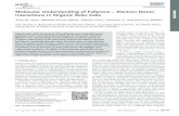 Molecular Understanding of Fullerene – Electron …seanryno.com/assets/Ryno_AdvEnerMater2016_Molecular...Molecular Understanding of Fullerene – Electron Donor Interactions in Organic