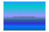 Cocci Gram+et Gram- - الموقع الأول للدراسة في الجزائرuniv.ency-education.com/uploads/1/3/1/0/13102001/... · 2018-09-07 · Cocci Gram+et Gram-• A –