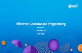 Effective Geodatabase Programming - Esri · •Good working knowledge of the Geodatabase and experience in programming against the GDB API •Code examples will use Java, C#, or C++