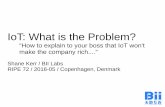 IoT: What is the Problem? - RIPE 72 2016Can IoT Make MeUs Rich? Short answer: No. Long answer: Yes. Simply identify people who want to spend money to fix the problems with compatibility,