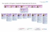 Your guide to Kingston Hospital’s Organisational Structure · 2016-02-01 · Your guide to Kingston Hospital’s Organisational Structure Board of Directors Executive Management
