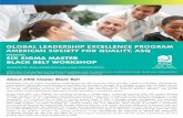 GLOBAL LEADERSHIP EXCELLENCE PROGRAM AMERICAN … · ASQ Certified Six Sigma Black Belts with the requisite background, aspiring for leadership positions. Leaders from consulting