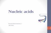 Nucleic acids - fac.ksu.edu.safac.ksu.edu.sa/sites/default/files/bch202-1440-_nucleic_acids.pdf · Nucleic acids 2 Nucleic acids are macromolecules, like proteins, carbohydrates and