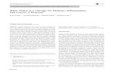 Bitter Melon as a Therapy for Diabetes, Inflammation, and ...Bitter Melon as a Therapy for Diabetes, Inflammation, and Cancer: a Panacea? Deep Kwatra1,2 & Prasad Dandawate1 & Subhash