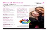 1117 2020 BC Fact Sheet Feb20 - Breast Cancer Foundation | Breast Cancer Fact Sheet 1 in 8 women in