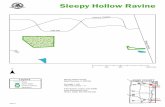 Sleepy Hollow Ravine - Forest Preserve District of Kane County · Sleepy Hollow Ravine _____Legend_____ Road Open Water Forest Preserve Woodland ¯ 0 250 500 1,000 Feet 3/24/11 KANE