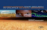 Chapter 27, Safeguarding food security in volatile global ...farmers to resume or intensify farming) with annual expenditures of USD 2.9 billion. 2 The 1996 World Food Summit (WFS)