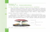Глава 5 ГРИБЫ И ЛИШАЙНИКИfiles.lbz.ru/authors/bio/1/146-152__bio7.pdf5 Грибы и лишайники 148 грибов разрастается на корнях
