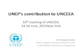UNEP’s contribution to UNCEEA - System of Environmental ...Multi spatial-scale approach, following the model of organization of the political institutions. Ecosystem service approach