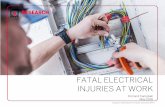 Fatal Electrical Injuries At Work · FATAL ELECTRICAL INJURIES . AT WORK, 2012 – 2016 . FINDINGS • A total of 739 workers died from exposure to electricity, or nearly 3 deaths