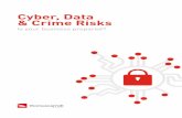 Cyber, Data & Crime Risks - Thomas Carroll · 2019-04-05 · Cyber, Data & Crime Risks How cyber insurance can safeguard your business ... Some insurers will also offer some loss-prevention