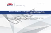 Treasury Risk Maturity Assessment Tool Guidance …...This document is a draft only Treasury Risk Maturity Assessment Tool 7 Risk Maturity Matrix The risk maturity matrix describes