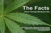 Santa Clara Valley Health and Hospital System Department ......Teen Marijuana Use Of the 12th graders who say that they have used marijuana in the past year and who live in states