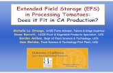 Extended Field Storage (EFS) in Processing Tomatoes: D it ... · Extended Field Storage (EFS) in Processing Tomatoes: D it Fit i CA P d ti ?Does it Fit in CA Production? Michelle