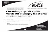 Cleaning Up Oil Spills With Oil-Hungry Bacteria · 20 Measuring cups, plastic Measuring spoon 30mL Motor oil, refined 5g Oil-hungry bacteria blend (non-pathogenic) 20 Petri dishes,