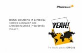 Applied Education and Entrepreneurship Programme (AEEP) · (Business Opportunities with Solar Systems) 3. AEEP Ethiopia (Applied Education and Entrepreneurship Programme) Introduction