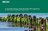 Catalyzing Societal Progress - Boston Consulting Group · 2020-04-22 · 2 Catalyzing Societal Progress AT A GLANCE Social Impact at BCG Social impact projects are a core part of