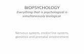 BIOPSYCHOLOGY - Katy Independent School Districtstaff.katyisd.org/.../Pages/default/BIOPSYCHOLOGY.pdf · Hormones vs. Neurotransmitters •Some hormones, like adrenaline, are chemically