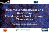 Supernova Astrophysics and Cosmology: The Merger of ... · SN Cosmology • Bright and powerful explosion of a star. • Biggest explosions in the Universe. • Speeds of 10-20% the