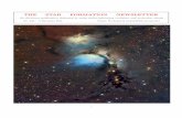 THE STAR FORMATION NEWSLETTER · 2013-01-12 · Editorial This issue is no. 240, and with it we can celebrate 20 years of publication of the Star Formation Newsletter. Twenty years