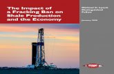 The Impact of Michael C. Lynch a Fracking Ban on Fellow ... · EPRINC The Impact of a Fracking Ban on Shale Production and the Economy ABOUT EPRINC The Energy Policy Research Foundation,