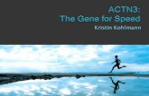 Kristin Kohlmann - The Gene for Speed: ACTN3kohlmanngen677s13.weebly.com/uploads/1/6/8/8/16889088/...What is ACTN3? What makes it so interesting? Does climate effect the ACTN3 protein?