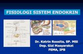 FISIOLOGI SISTEM ENDOKRIN - kroosita2's blog · Kelenjar Endokrin: Organ yang menghasilkan hormon yang tidak memiliki duktus/pembuluh/saluran (duct), sehingga hormon yang dihasilkan