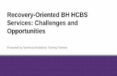 Recovery-Oriented BH HCBS Services: Challenges and ... · Recovery-Oriented BH HCBS Services: Challenges and Opportunities Presented by Technical Assistance Training Partners. ...