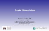 Acute Kidney Injury - WordPress.com · diﬀerenal diagnosis of Acute Kidney Injury (AKI). • Discuss signs and symptoms of AKI, including pre‐renal, intrinsic and post‐renal