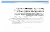 Policy instruments for Indigenous Peoples and Disaster ... · Policy instruments for Indigenous Peoples and Disaster Risk Reduction A Case Study of Māori participation in Disaster