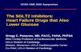 The SGLT2 Inhibitors: Heart Failure Drugs that Also Lower Glucose · 2019-12-16 · The SGLT2 Inhibitors: Heart Failure Drugs that Also Lower Glucose Gregg C. Fonarow, MD, FACC, FAHA,