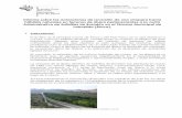 Informe sobre las actuaciones de reversión de una chopera hacia … · 2012-03-15 · La chopera de la ribera del Ebro en Salinillas de Buradón fue plantada en marzo de 1983 con