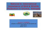National & International Importance of Bird & Wildlife Protection … · National & International Importance of Bird & Wildlife Protection in Oromia, Ethiopia Zewdie E. CHEMERE OROMIA