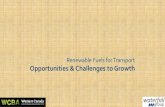 Renewable Fuels for Transport Opportunities & Challenges ... · Background: definitions Biofuels are liquid and gaseous fuels produced from biomass –organic matter derived from
